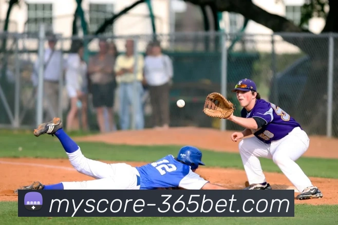 辅助工具 辅助工具